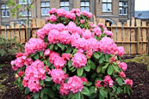 2016-04-25--07604.JPG