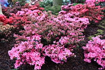 2016-04-25--07630.JPG