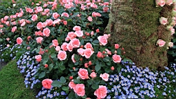2016-04-25--07649.JPG