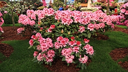 2016-04-25--07655.JPG