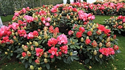 2016-04-25--07674.JPG