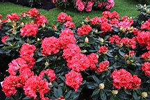 2016-04-25--07680.JPG