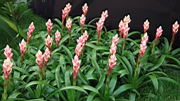 2016-04-25--07695.JPG