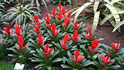 2016-04-25--07709.JPG