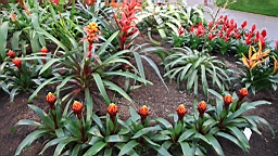2016-04-25--07711.JPG