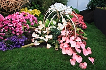 2016-04-25--07716.JPG