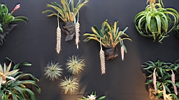 2016-04-25--07726.JPG