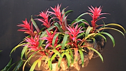 2016-04-25--07733.JPG