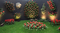 2016-04-25--07735.JPG