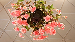 2016-04-25--07751.JPG
