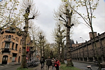 2016-04-25--07779.JPG
