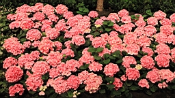 2016-04-25--07793.JPG