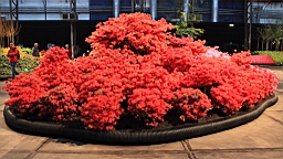 2016-04-25--07798.JPG