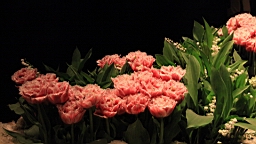 2016-04-25--07803.JPG