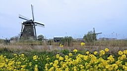 20160425_112627.jpg