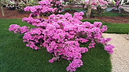20160425_170615.jpg