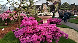 20160425_170947.jpg