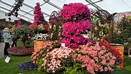 20160425_171026.jpg