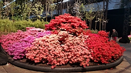 20160425_182136.jpg