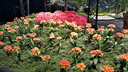 20160425_182154.jpg
