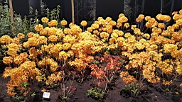 20160425_182204.jpg
