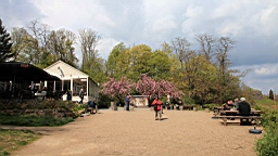 2016-04-28--07924.JPG