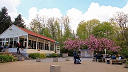 2016-04-28--07944.JPG