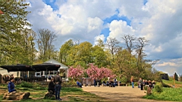 2016-04-28--07945.JPG