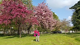 20160428_102816.jpg