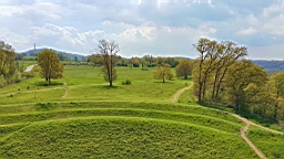 20160428_133003.jpg