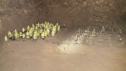 20160428_150502.jpg