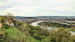 2016-04-29--07988.JPG