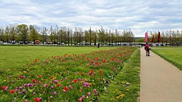 20160429_142148.jpg