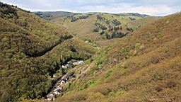 2016-04-30--08034.JPG