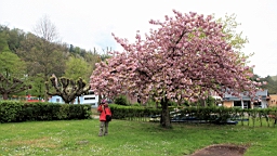 2016-04-30--08085.JPG