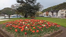2016-04-30--08088.JPG