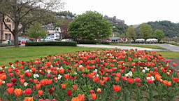 2016-04-30--08089.JPG