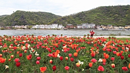 2016-04-30--08090.JPG