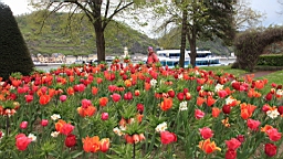 2016-04-30--08093.JPG