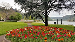 20160430_132831.jpg