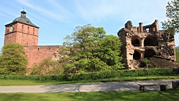 2016-05-01--08145.JPG