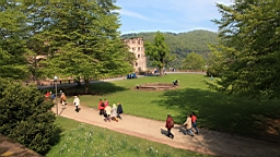 2016-05-01--08158.JPG