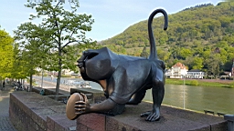 20160501_085031.jpg