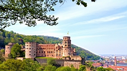 20160501_104355.jpg