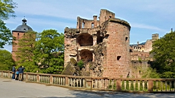 20160501_105519.jpg