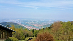 20160501_113253.jpg