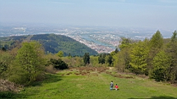 20160501_113445.jpg