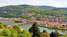 20160501_154316.jpg