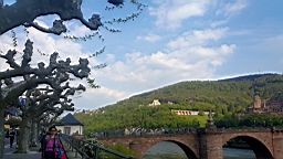 20160501_171917.jpg