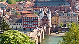 DSC00181.JPG
